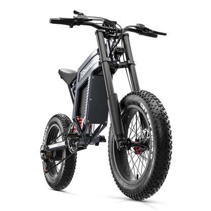 Shengmilo S900