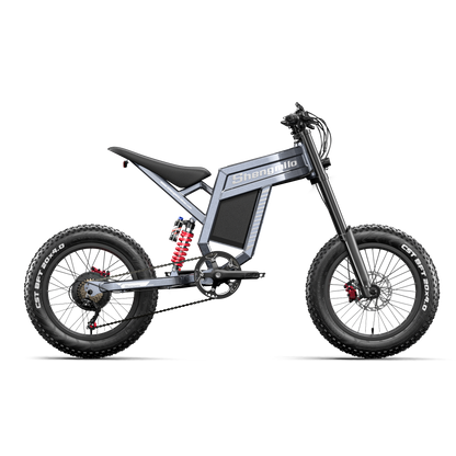 Shengmilo S900